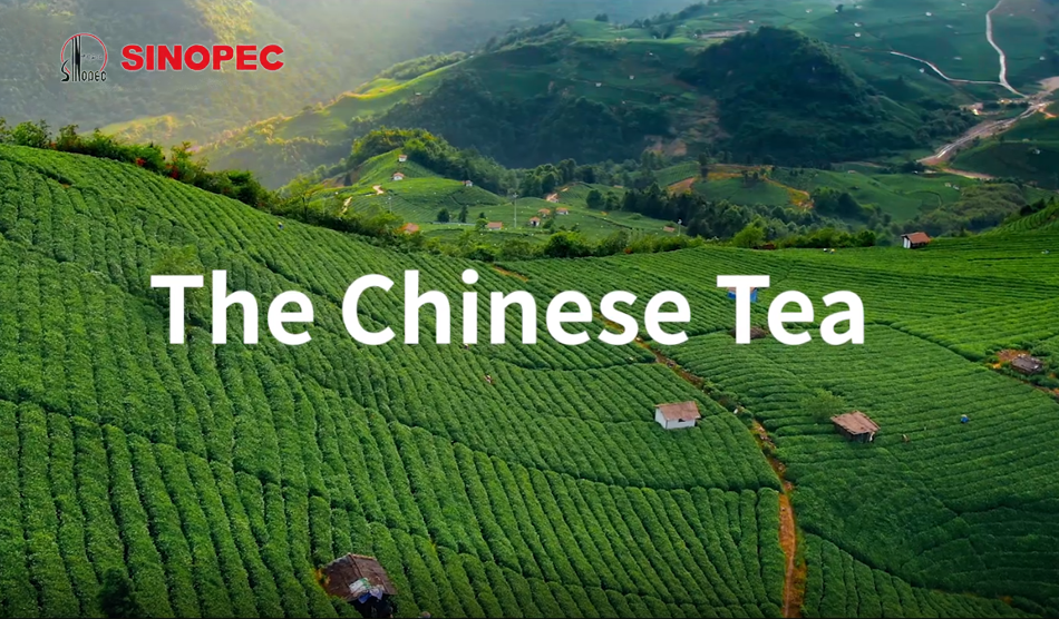 绿水青山，茶园如画。中国石化带动安徽岳西茶产业升级，推动筹建